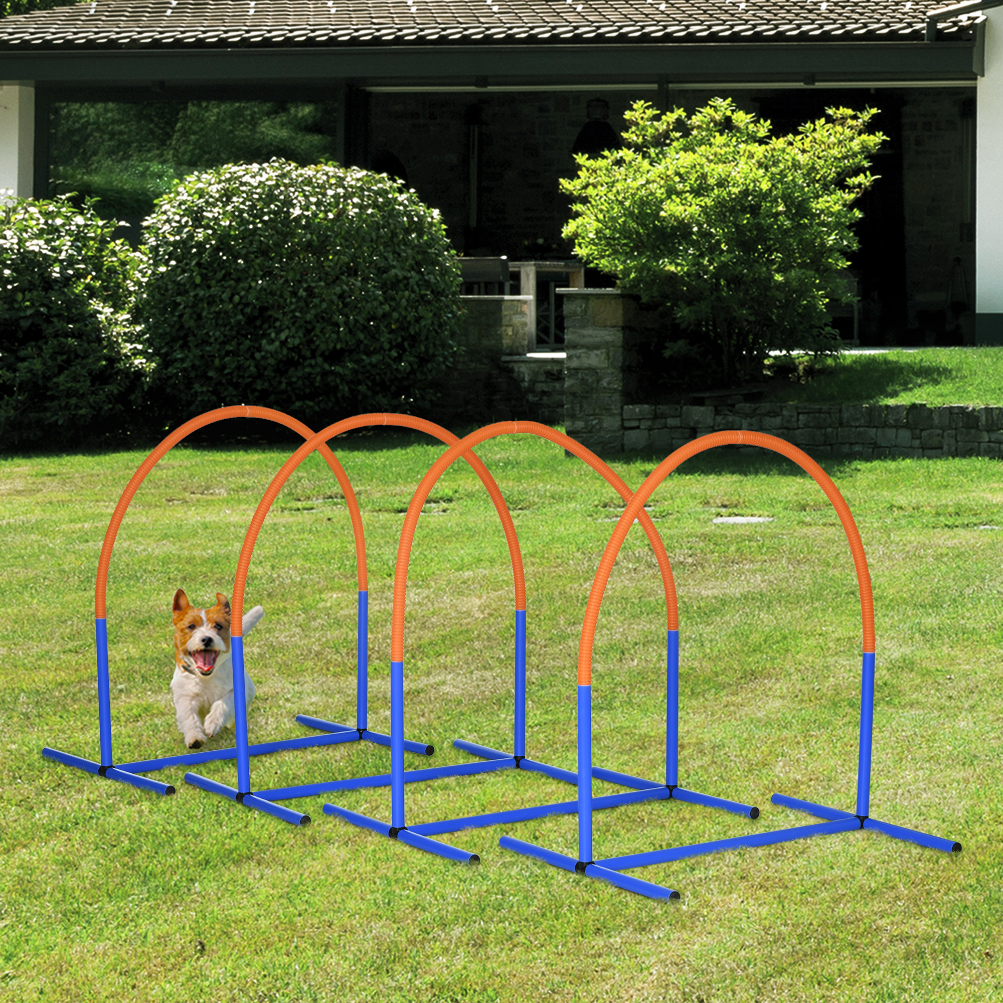 b050dc2d7f344219b8f4fc7ca9b0c4562jpg Urban Pet Play Ltd | AwardWinning Pet Care Pet Shop