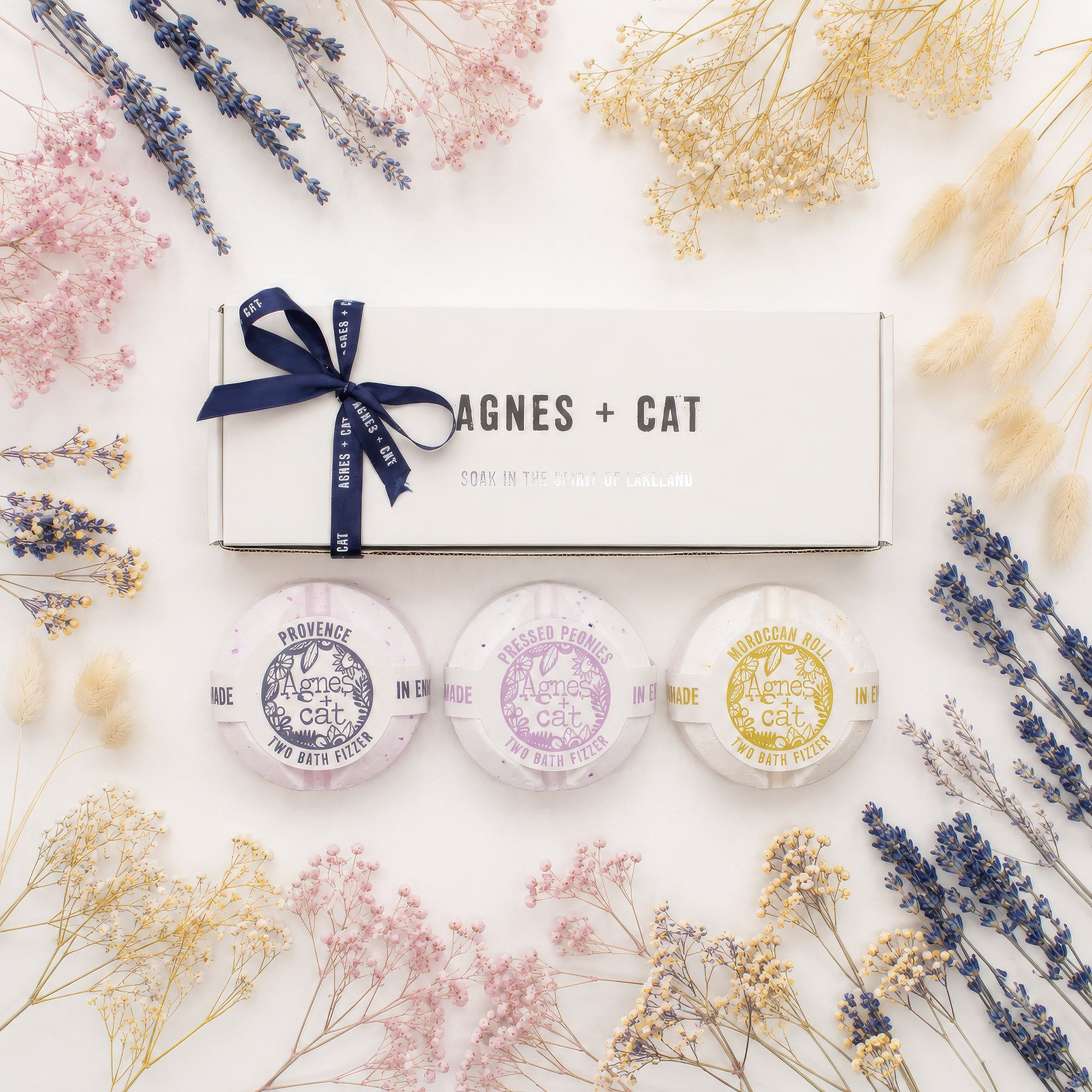 bG9jYWw6Ly9tZWRpYS8xUi9FRS82MFIzMEMxSjZHUzNFRTFSLzcxZDVmYTQxLmpwZwjpg Urban Pet Play Ltd | AwardWinning Pet Care Pet Shop