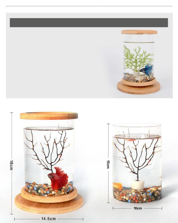 bamboobaseminiglassaquariumastylishandcompactfishtankdecoration141105jpg Urban Pet Play Ltd | AwardWinning Pet Care Pet Shop