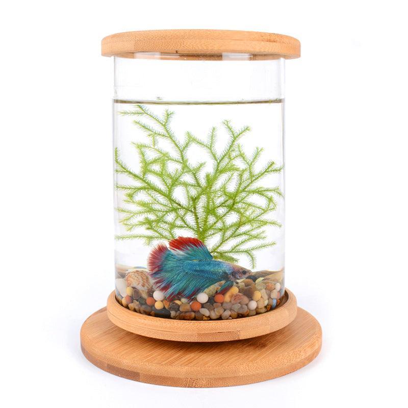 bamboobaseminiglassaquariumastylishandcompactfishtankdecoration643714jpg Urban Pet Play Ltd | AwardWinning Pet Care Pet Shop