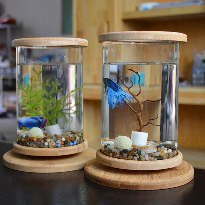 bamboobaseminiglassaquariumastylishandcompactfishtankdecoration7788211jpg Urban Pet Play Ltd | AwardWinning Pet Care Pet Shop