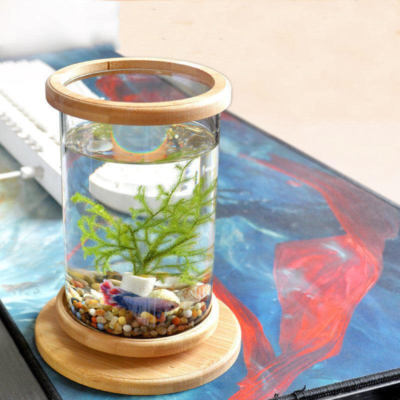 bamboobaseminiglassaquariumastylishandcompactfishtankdecoration840540jpg Urban Pet Play Ltd | AwardWinning Pet Care Pet Shop