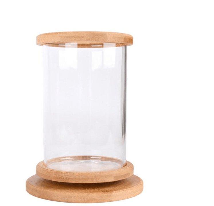bamboobaseminiglassaquariumastylishandcompactfishtankdecoration975510jpg Urban Pet Play Ltd | AwardWinning Pet Care Pet Shop