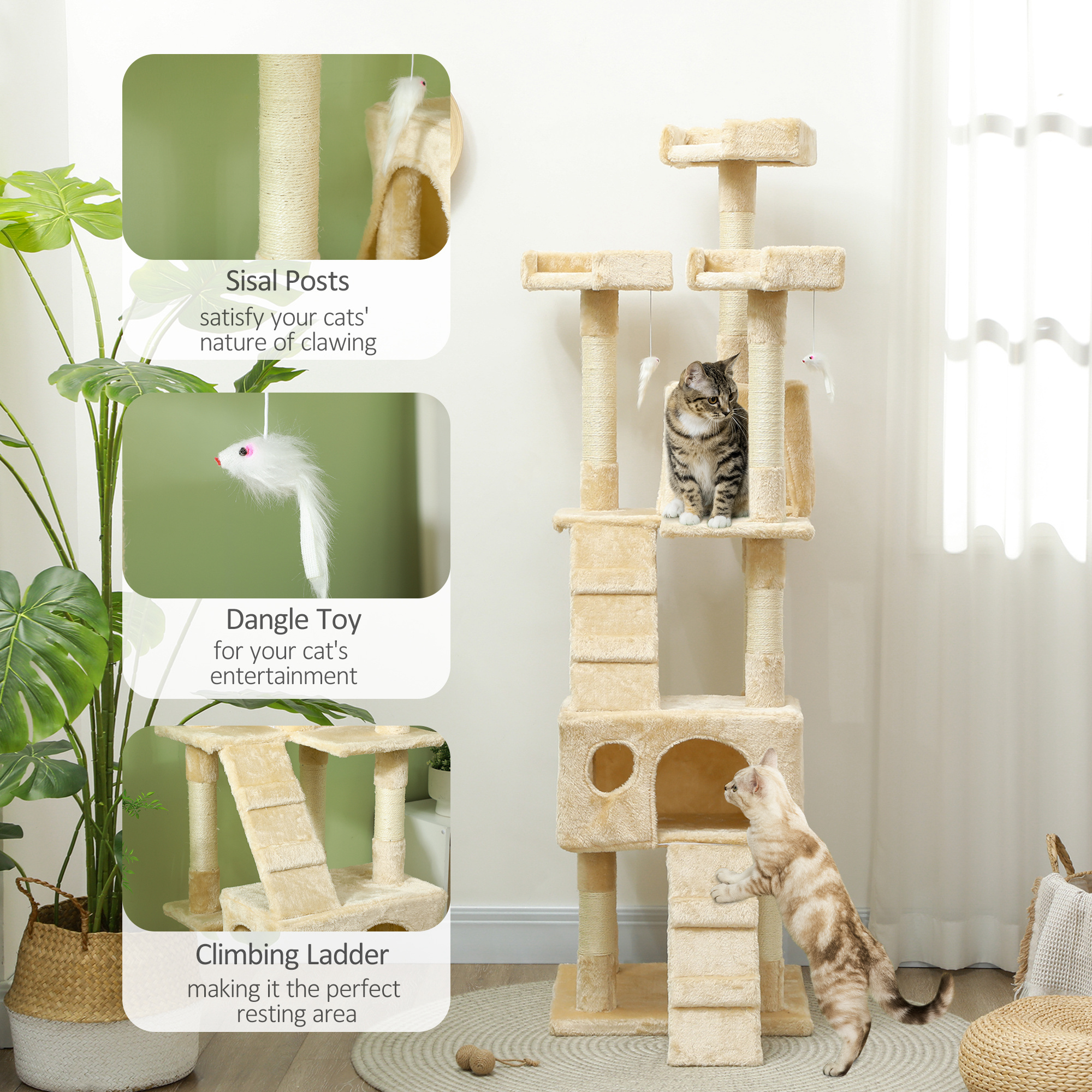 c65138cd5b264038877bc0bd1e551caajpg Urban Pet Play Ltd | AwardWinning Pet Care Pet Shop