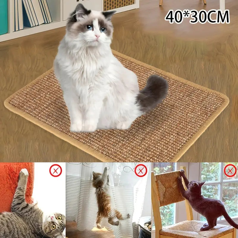 cff31a4670f44434947edb931beceeadjpg Urban Pet Play Ltd | AwardWinning Pet Care Pet Shop
