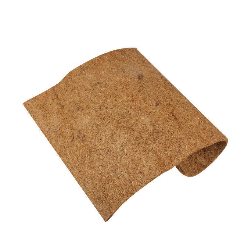 coconutpalmmatreptileboxlandscapingdustfreenaturalhabitatenhancement305229jpg Urban Pet Play Ltd | AwardWinning Pet Care Pet Shop