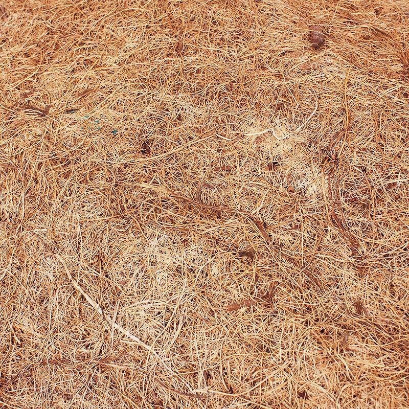 coconutpalmmatreptileboxlandscapingdustfreenaturalhabitatenhancement510157jpg Urban Pet Play Ltd | AwardWinning Pet Care Pet Shop