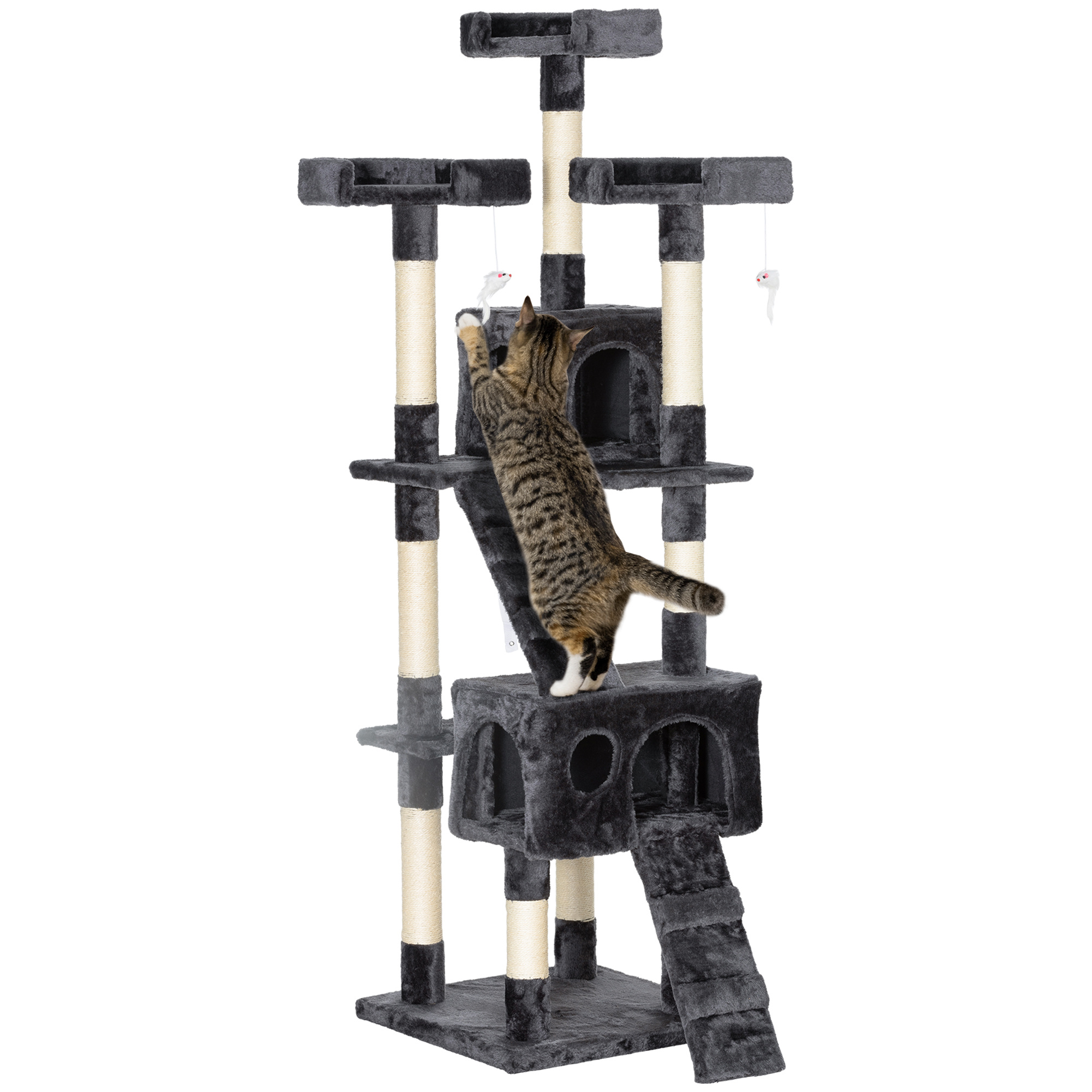 d0d524b654394970865ebd030d9e33541jpg Urban Pet Play Ltd | AwardWinning Pet Care Pet Shop