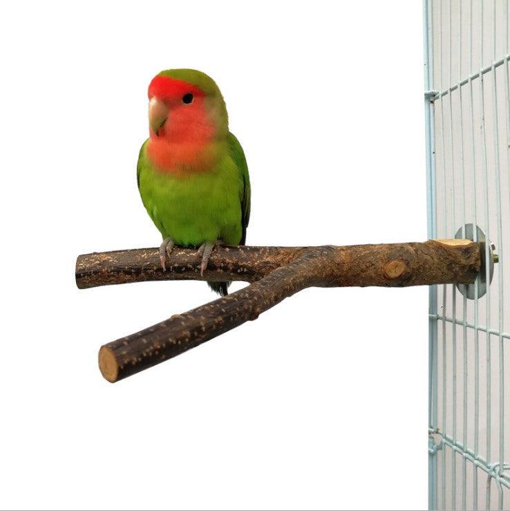 dda7fc2565054dd2a927c07607028696jpg Urban Pet Play Ltd | AwardWinning Pet Care Pet Shop