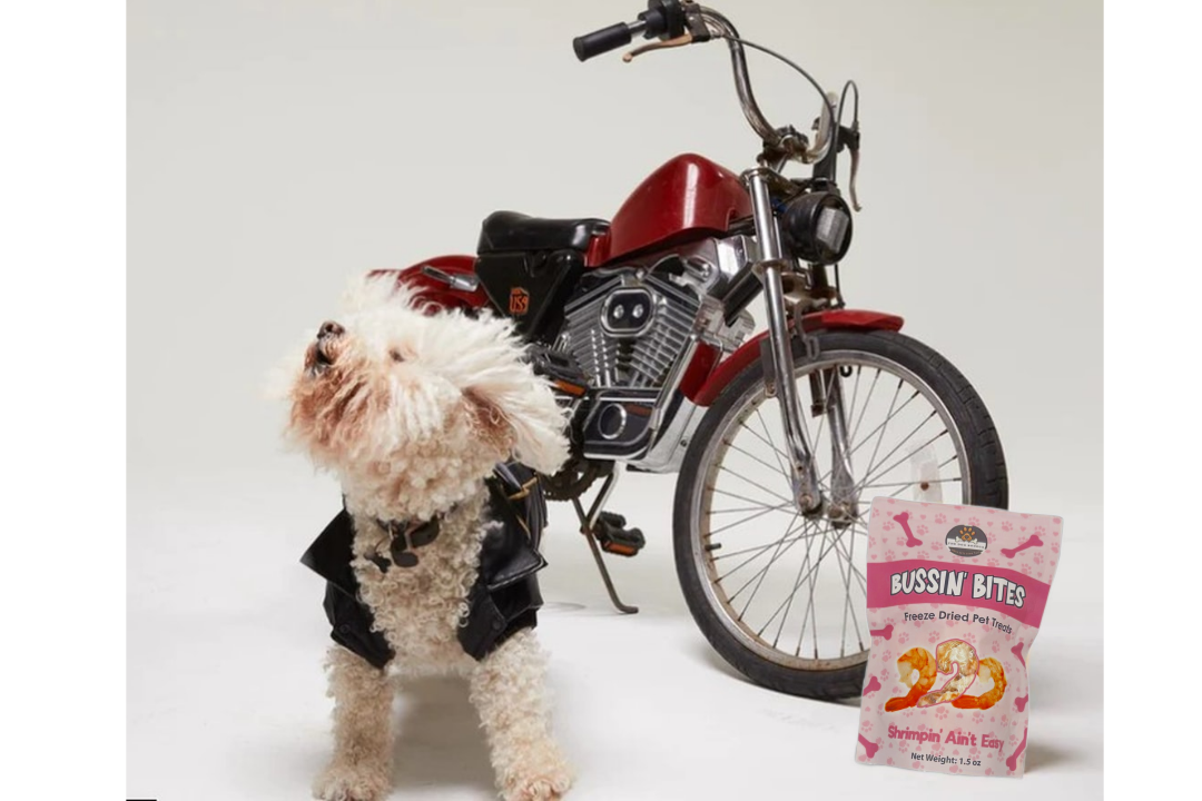 design48png Urban Pet Play Ltd | AwardWinning Pet Care Pet Shop