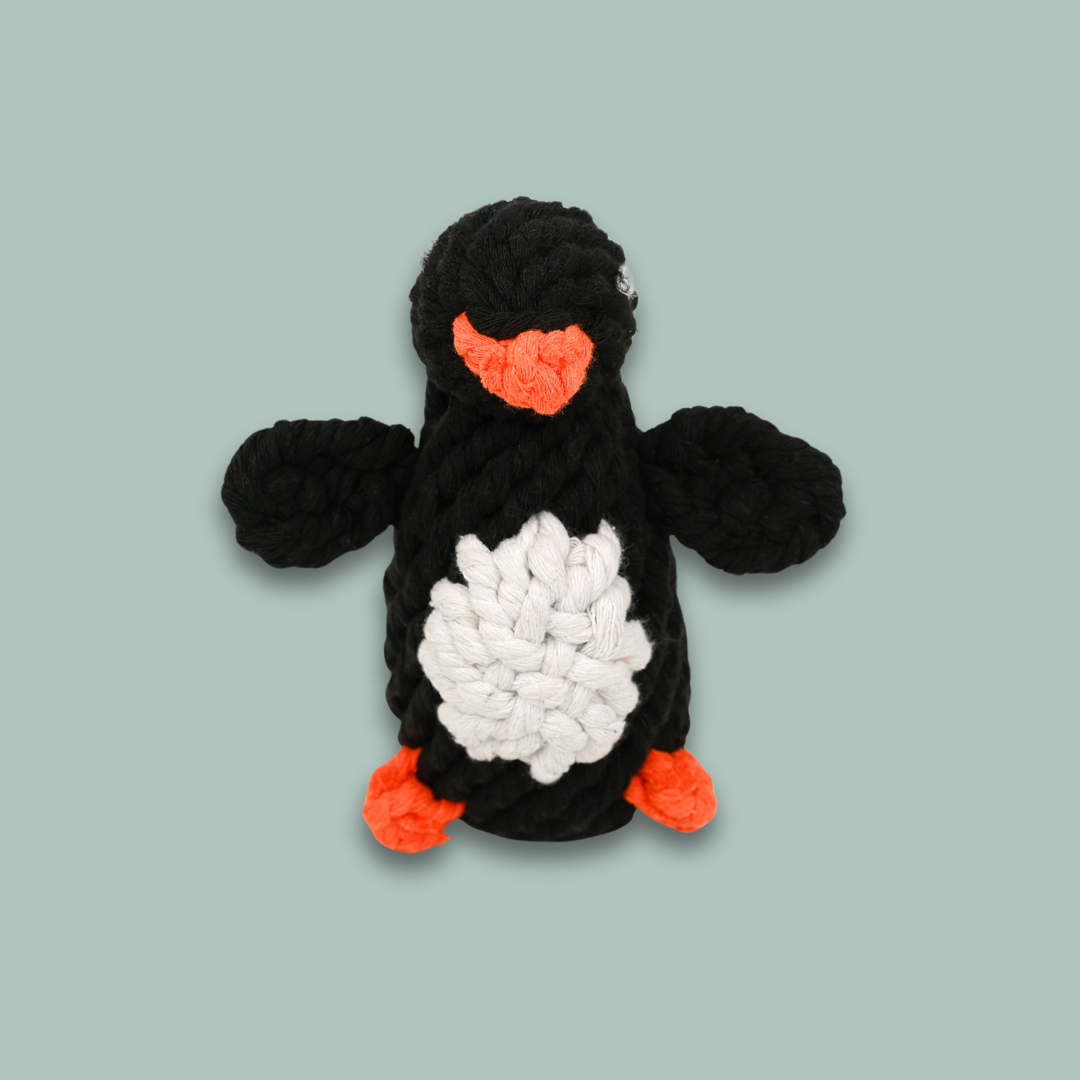 ecoconsciouspettoyspenguinropetoypng Urban Pet Play Ltd | AwardWinning Pet Care Pet Shop