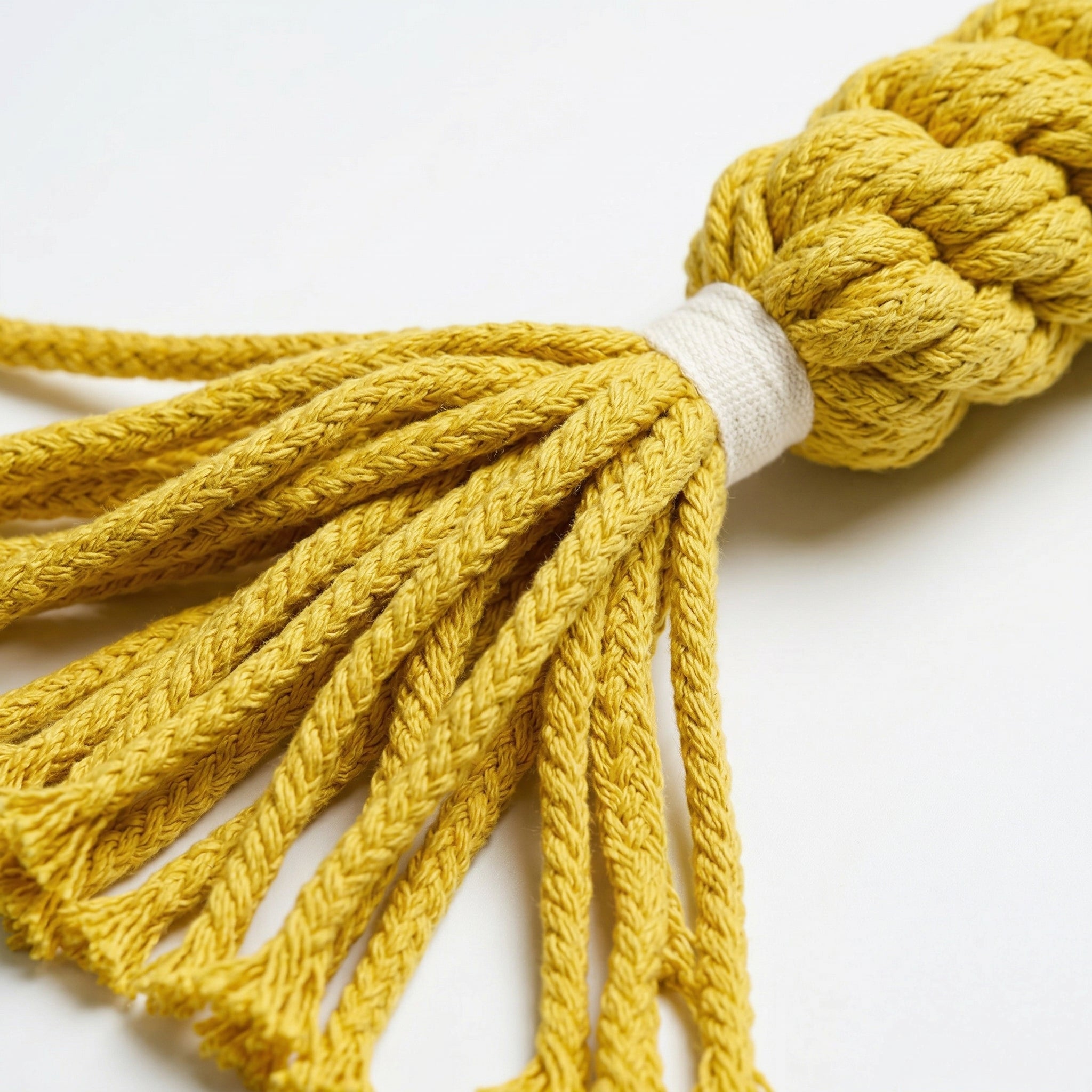 extremecloseupmacroproductphotographyofonetasselendofthisyellowpettjpg Urban Pet Play Ltd | AwardWinning Pet Care Pet Shop