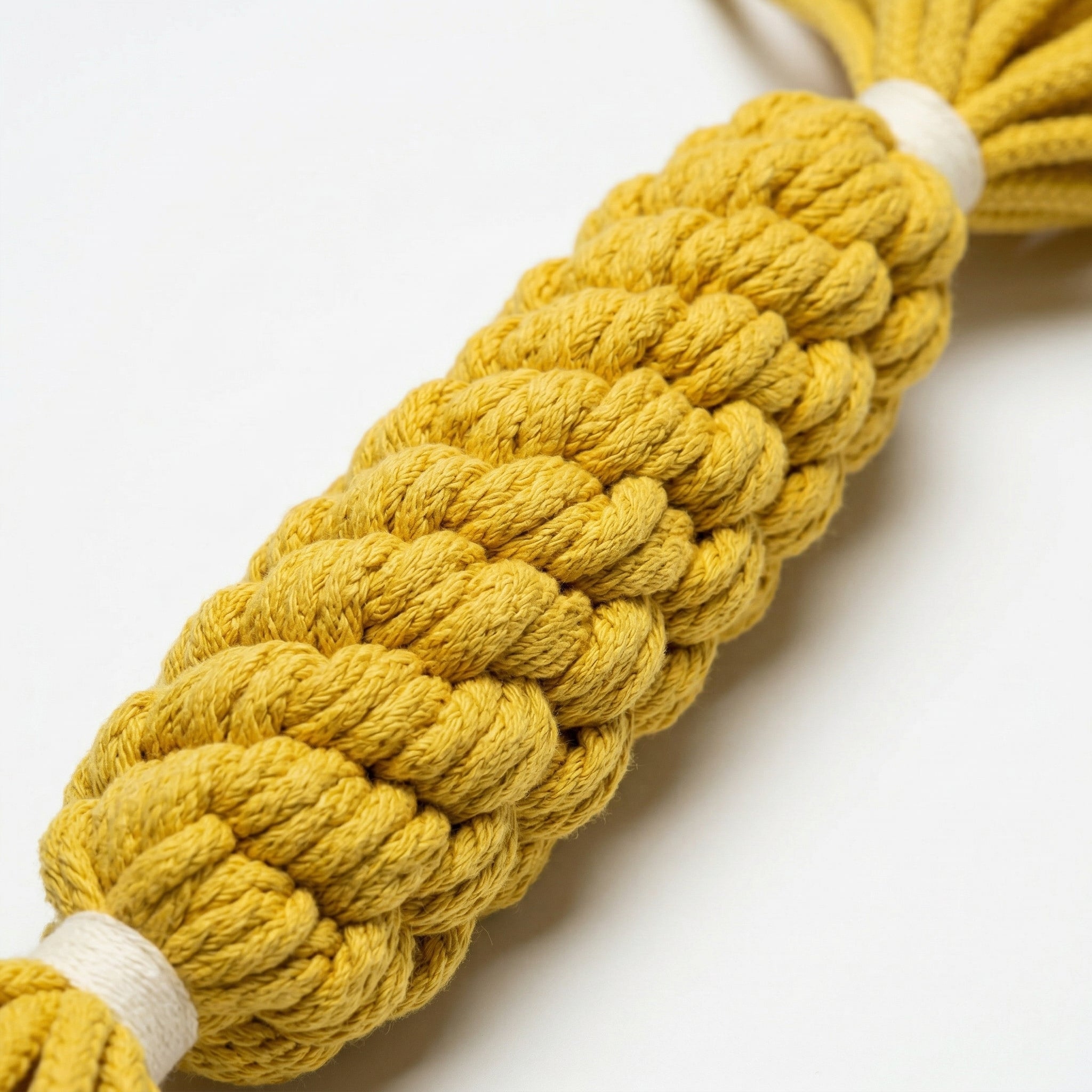 extremecloseupmacroproductphotographyofthecenterbodysectionofthisyeljpg Urban Pet Play Ltd | AwardWinning Pet Care Pet Shop