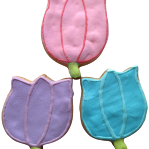 Tulips (Qty 12)