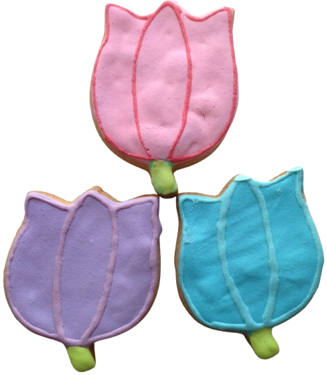 file101png Urban Pet Play Ltd | AwardWinning Pet Care Pet Shop