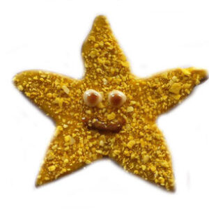 Starfish (Qty 12)