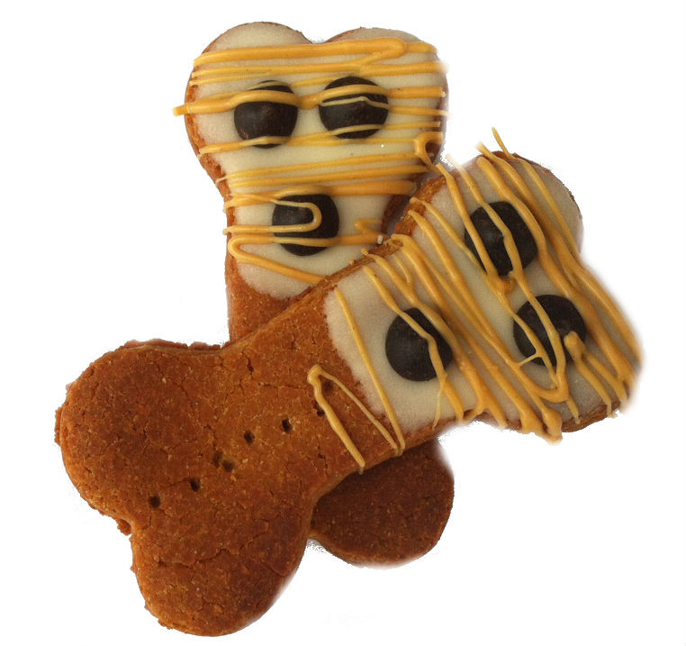 file129jpg Urban Pet Play Ltd | AwardWinning Pet Care Pet Shop