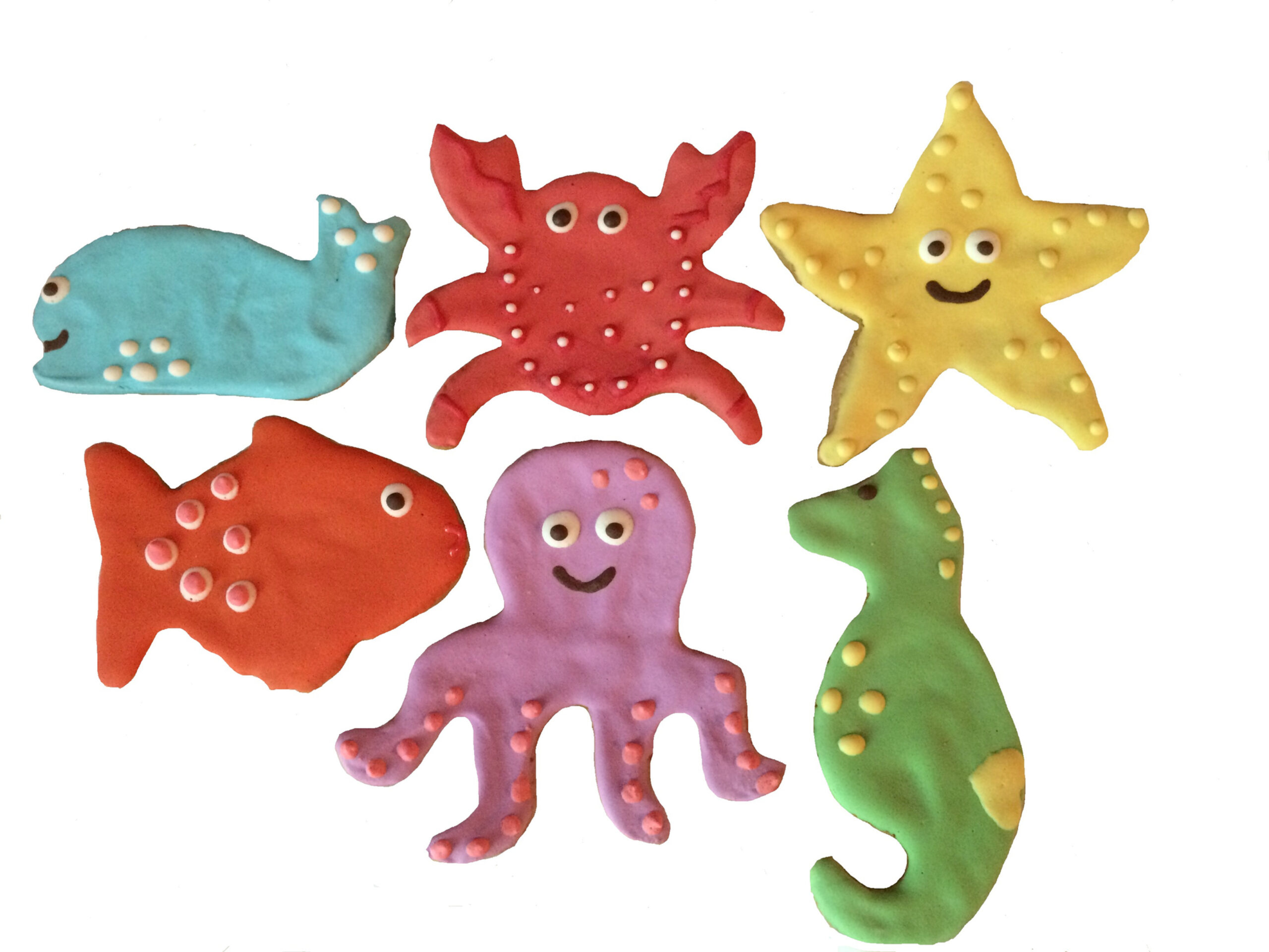 file196jpg Urban Pet Play Ltd | AwardWinning Pet Care Pet Shop
