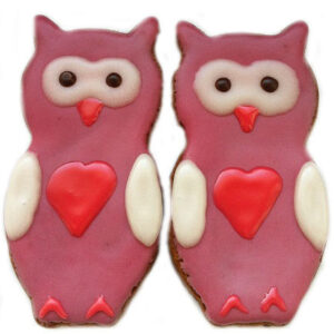 Hoo Loves You Owls (Qty 12)