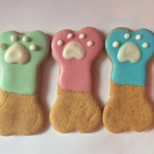 Spring Dog Bones  (Qty 12)
