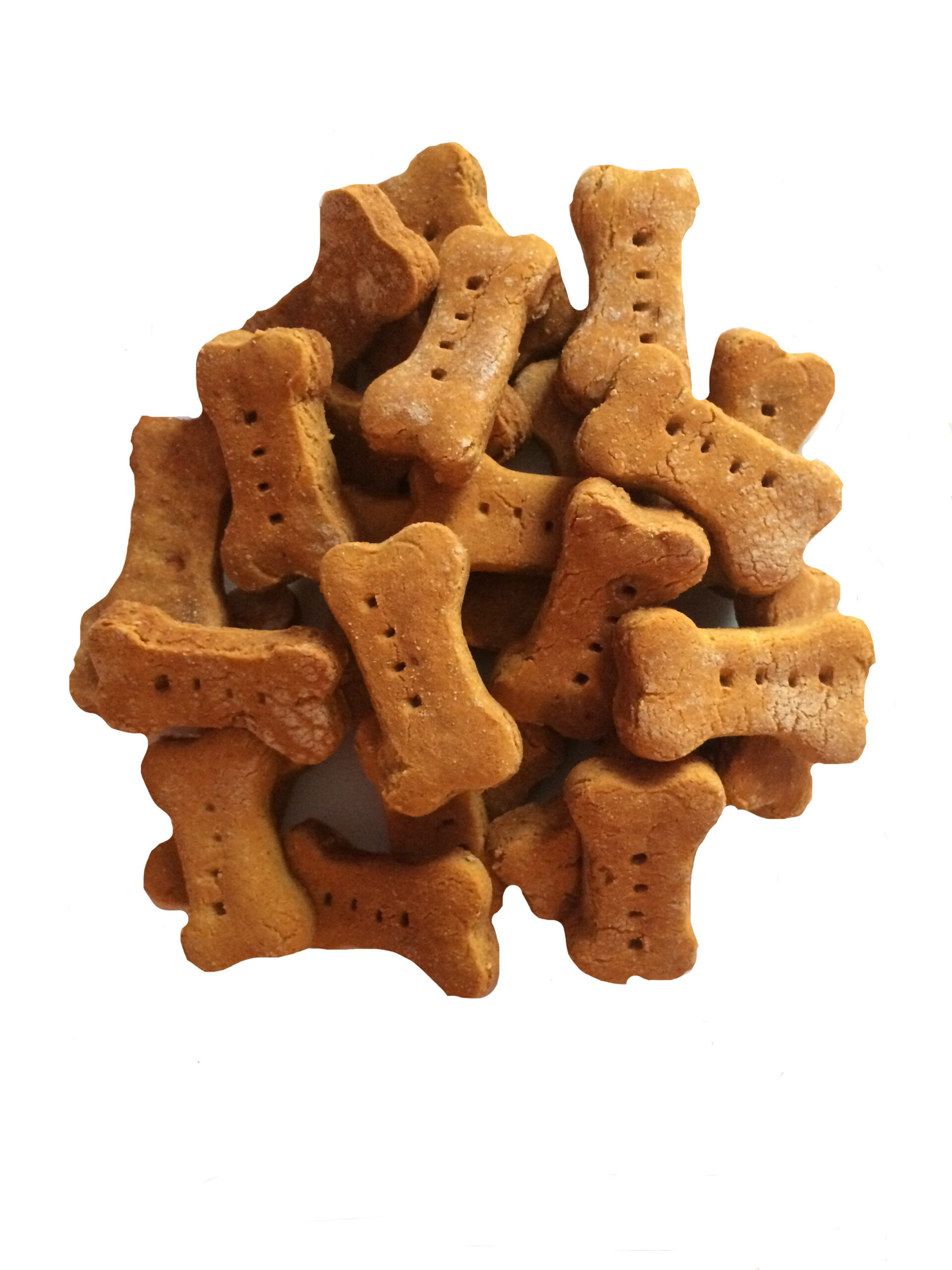 file279jpg Urban Pet Play Ltd | AwardWinning Pet Care Pet Shop