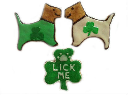 file282jpg Urban Pet Play Ltd | AwardWinning Pet Care Pet Shop