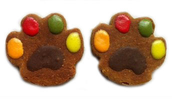 file342jpg Urban Pet Play Ltd | AwardWinning Pet Care Pet Shop