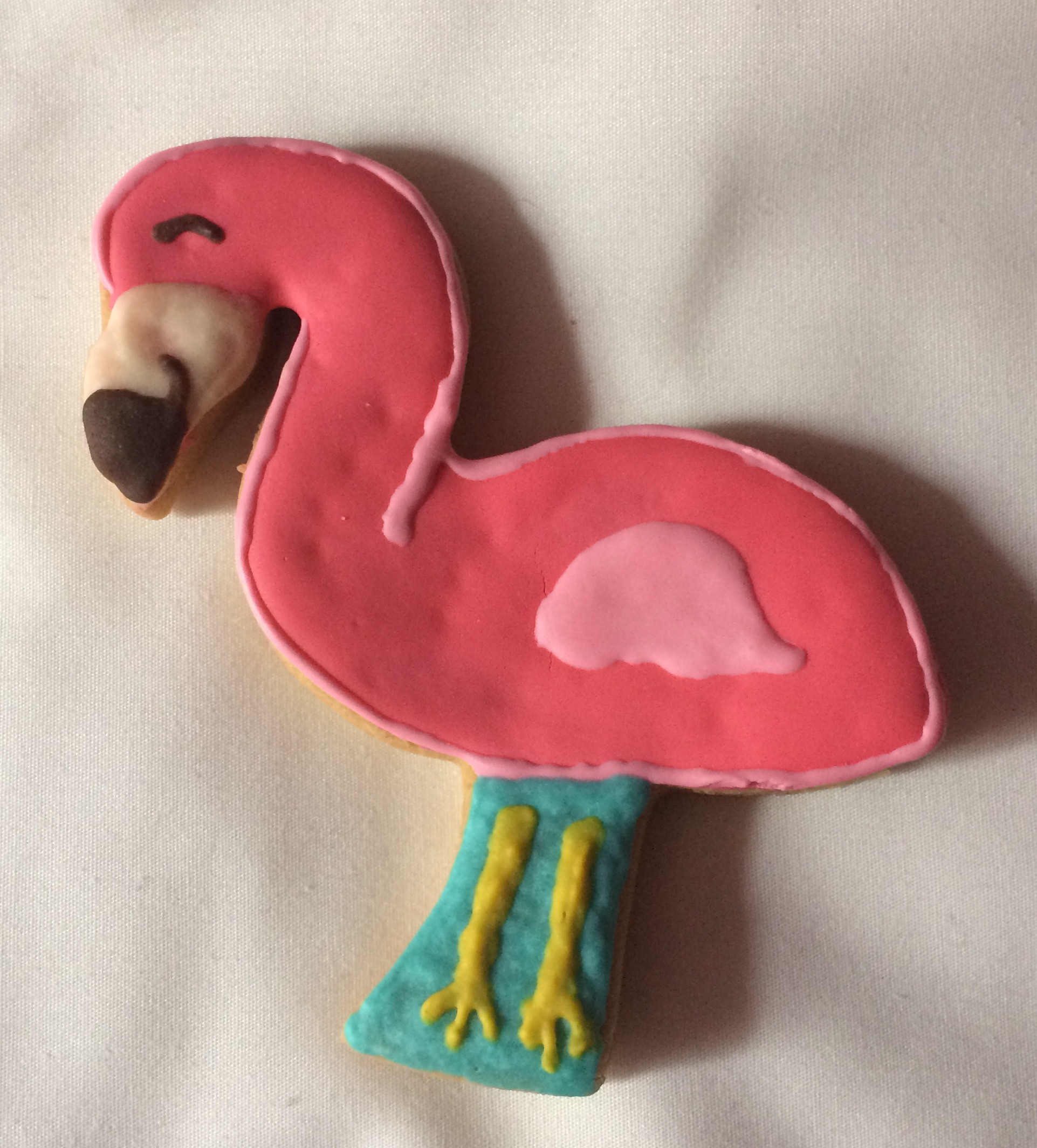 file369jpg Urban Pet Play Ltd | AwardWinning Pet Care Pet Shop
