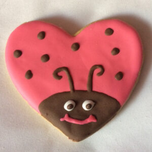 Ladybug (12)