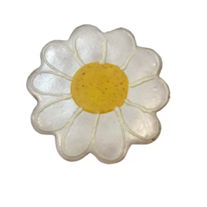 Daisy (Qty 12)