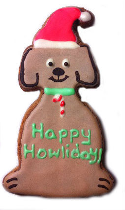 file48jpg Urban Pet Play Ltd | AwardWinning Pet Care Pet Shop
