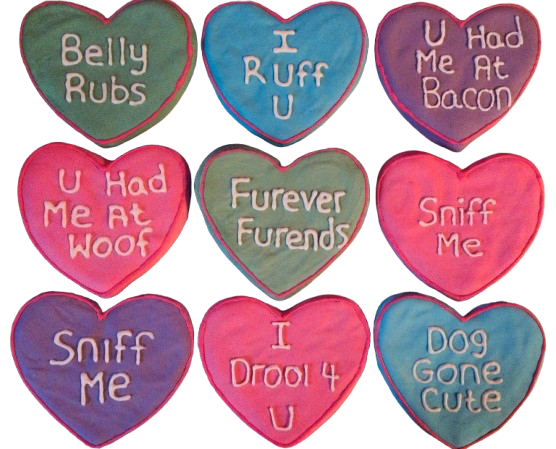 file50png Urban Pet Play Ltd | AwardWinning Pet Care Pet Shop