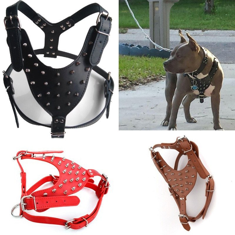 file555jpg Urban Pet Play Ltd | AwardWinning Pet Care Pet Shop
