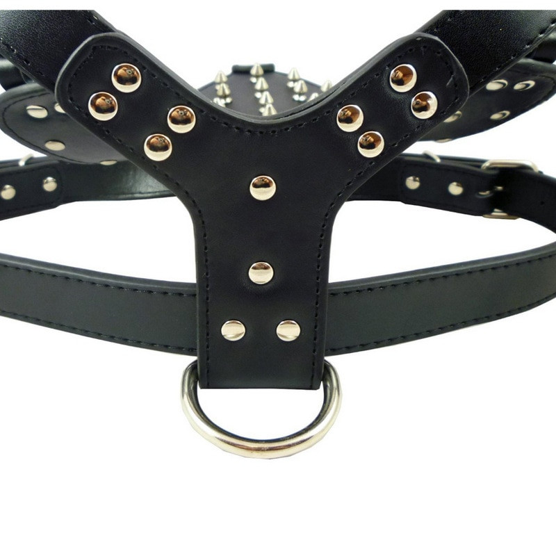 file559jpg Urban Pet Play Ltd | AwardWinning Pet Care Pet Shop