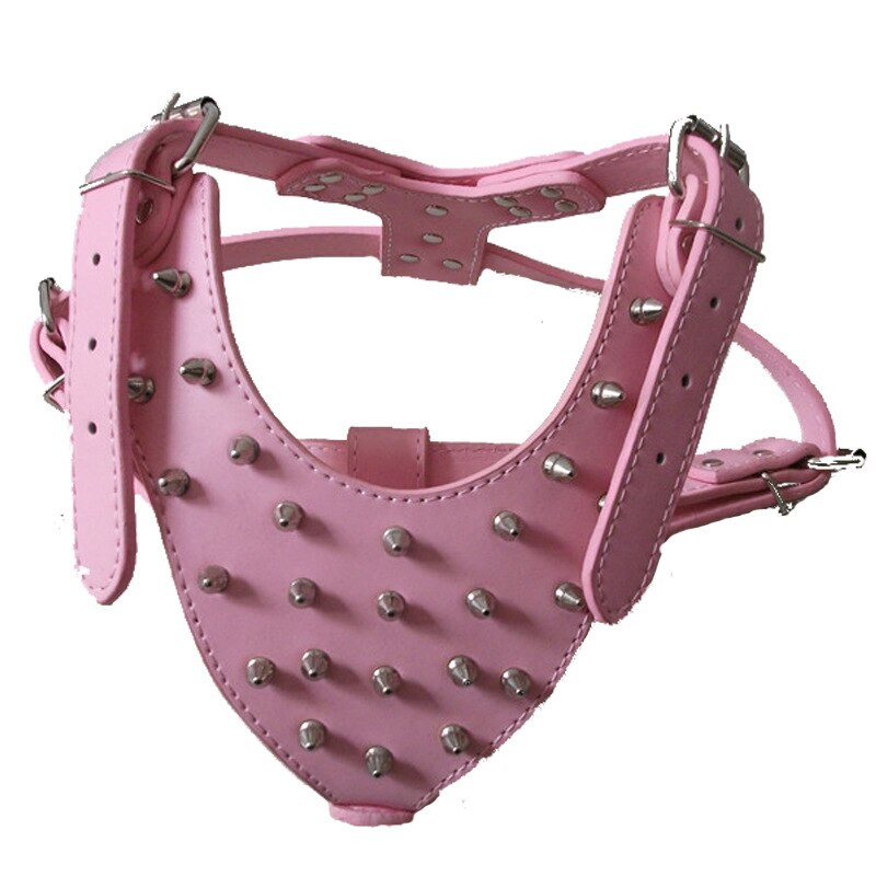 file560jpg Urban Pet Play Ltd | AwardWinning Pet Care Pet Shop