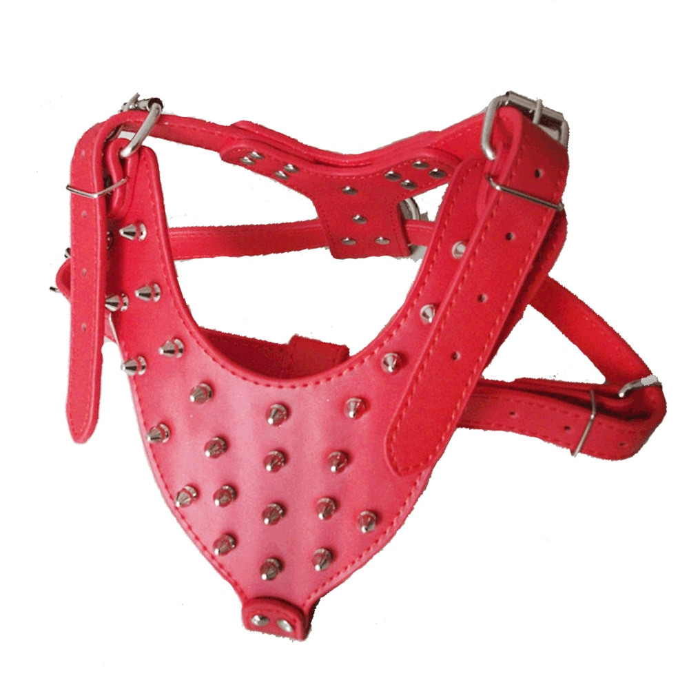 file563jpg Urban Pet Play Ltd | AwardWinning Pet Care Pet Shop