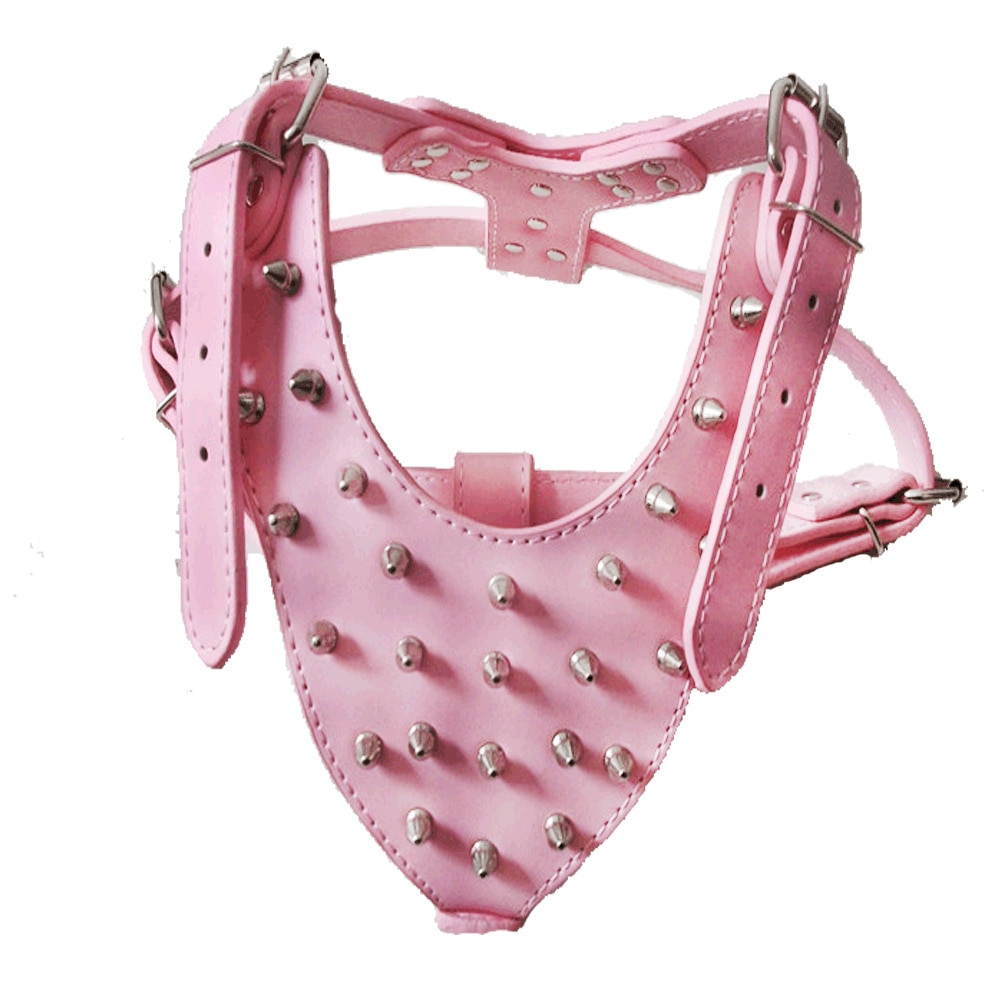 file567jpg Urban Pet Play Ltd | AwardWinning Pet Care Pet Shop
