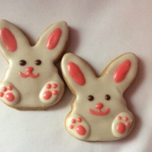 Spring Bunny (Qty 12)