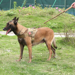 Military Tactical Dog Harness Patrol K9 Working Pet