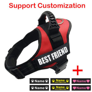 Dog Harness ID Tag Custom Harness