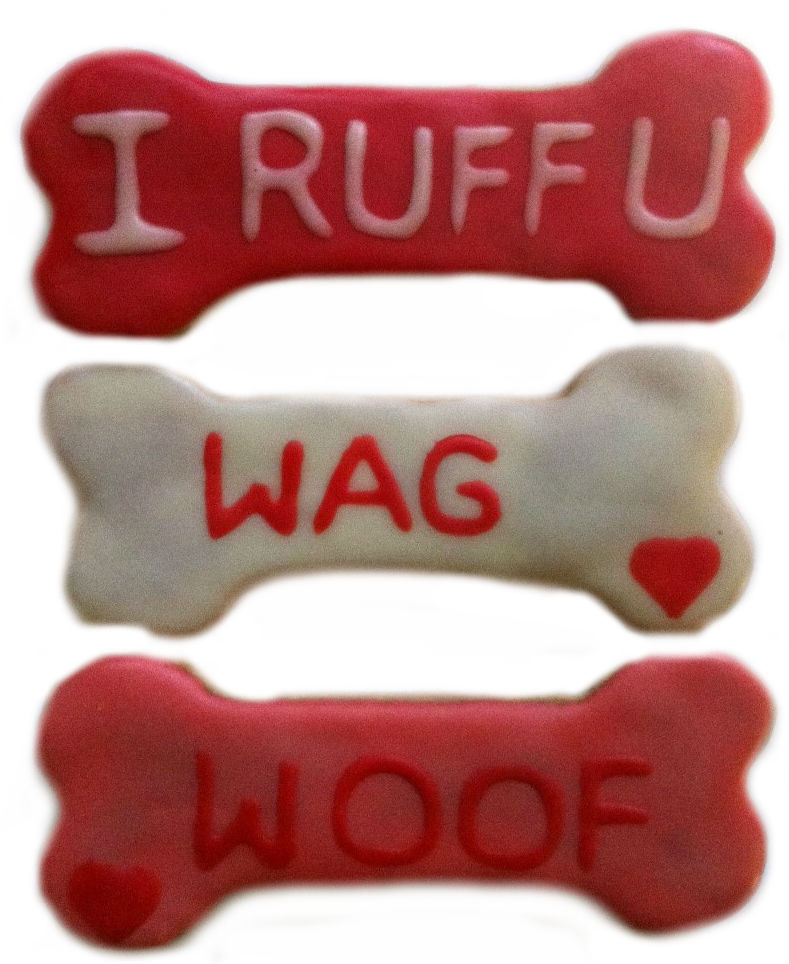 file73jpg Urban Pet Play Ltd | AwardWinning Pet Care Pet Shop
