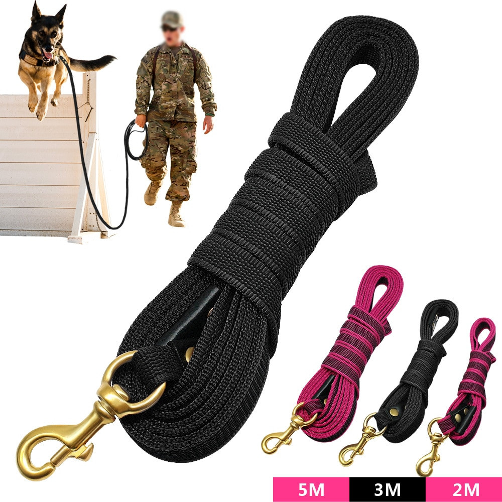 file860jpg Urban Pet Play Ltd | AwardWinning Pet Care Pet Shop