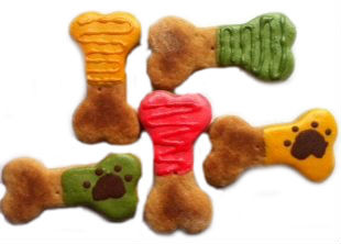 file9jpg Urban Pet Play Ltd | AwardWinning Pet Care Pet Shop