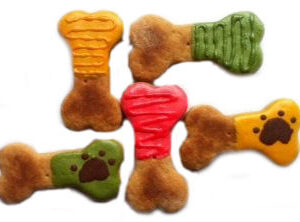 Fall Dog Bones (Qty 12)