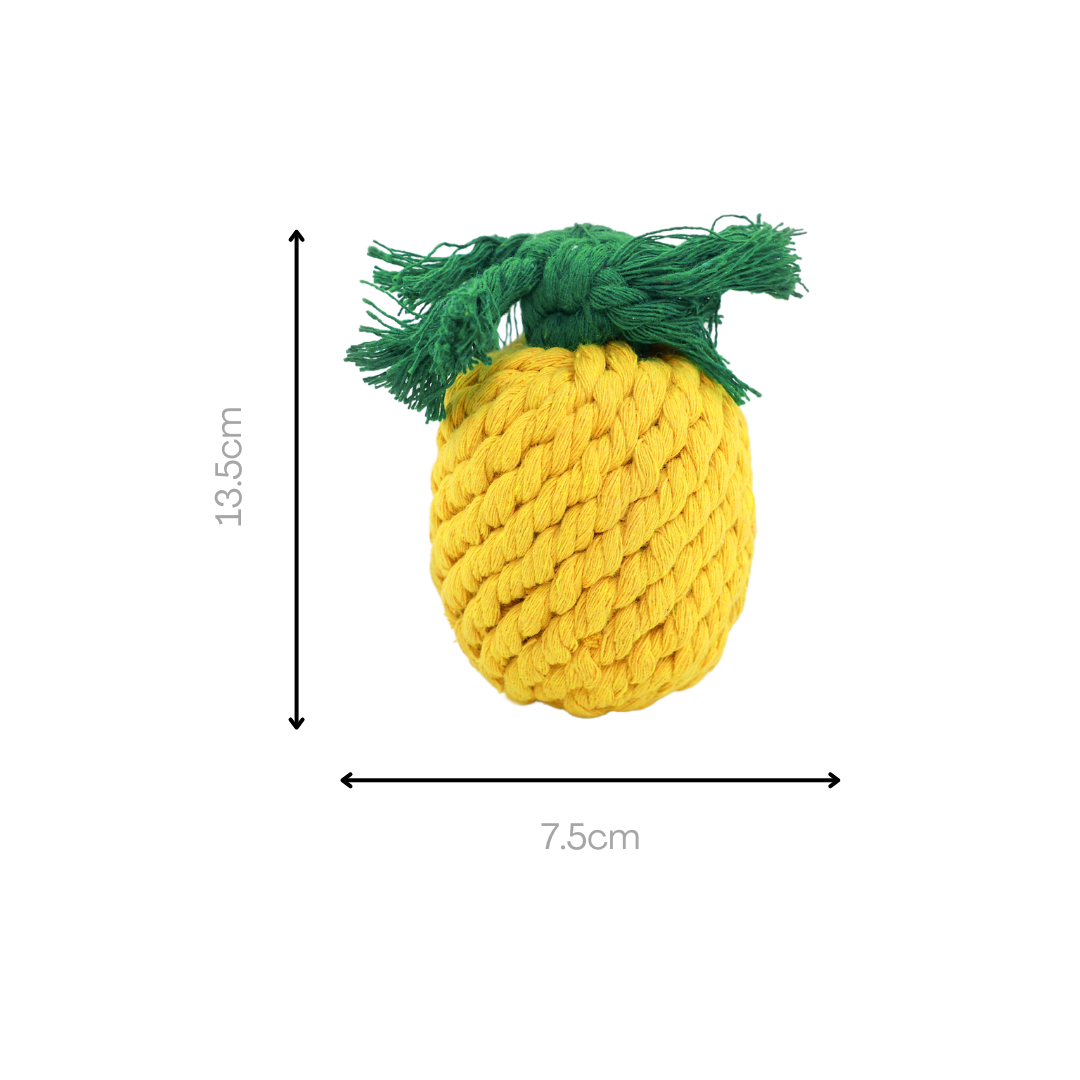handmadepineappledogropetoypng Urban Pet Play Ltd | AwardWinning Pet Care Pet Shop