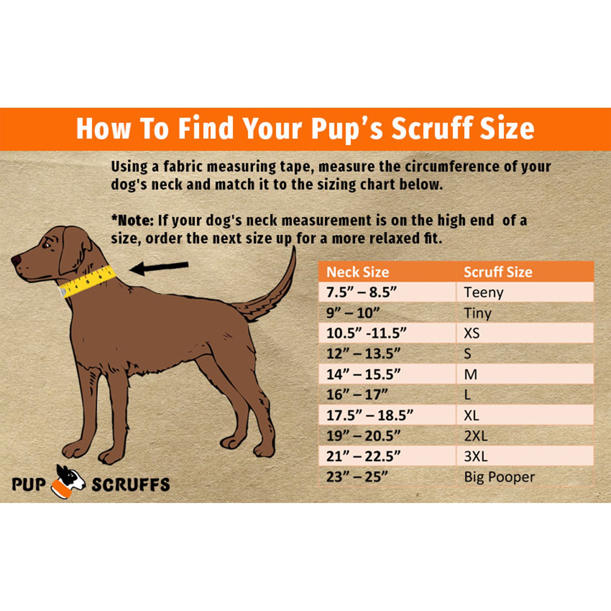 imageb72595f41d4149e6a6e970b7064ba3d3jpg Urban Pet Play Ltd | AwardWinning Pet Care Pet Shop