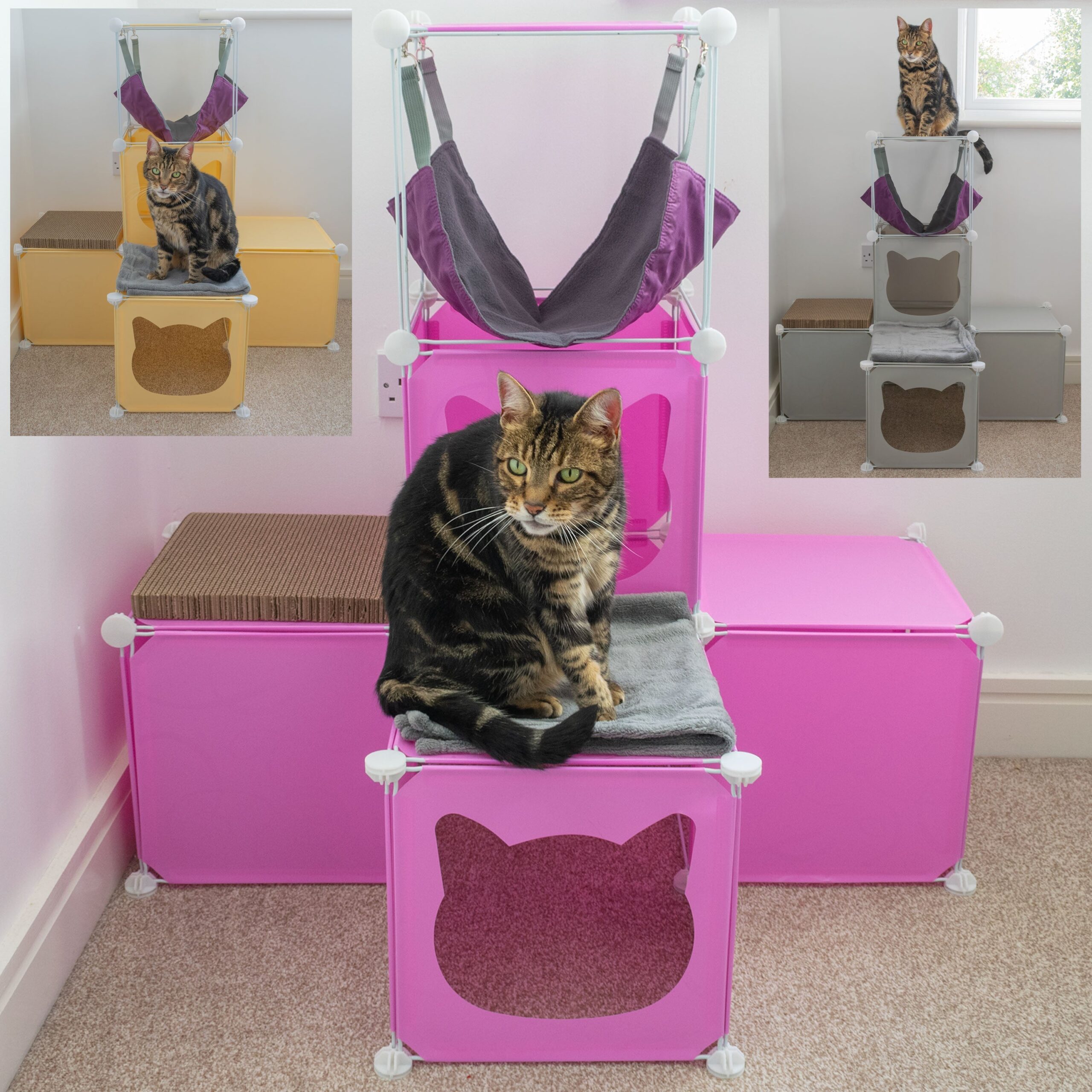 kittycubbymidiJPGfile11jpg Urban Pet Play Ltd | AwardWinning Pet Care Pet Shop