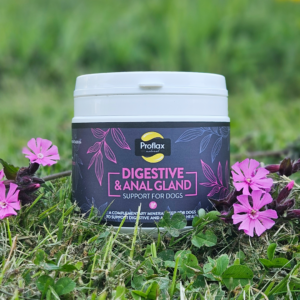 Proflax Digestive & Anal Gland 350g