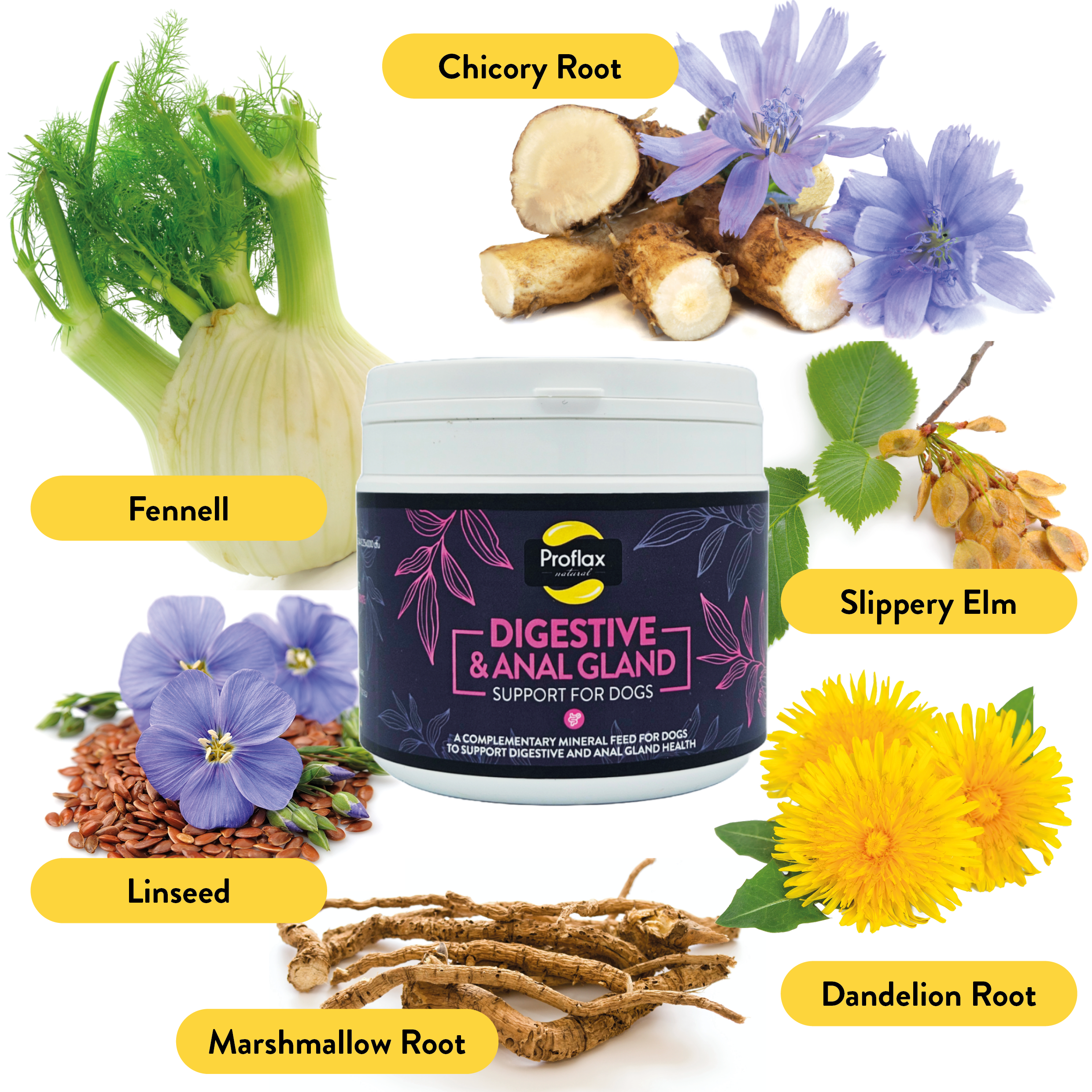 manualProduct2Feb792448897fb65439249230ed86772fpng Urban Pet Play Ltd | AwardWinning Pet Care Pet Shop