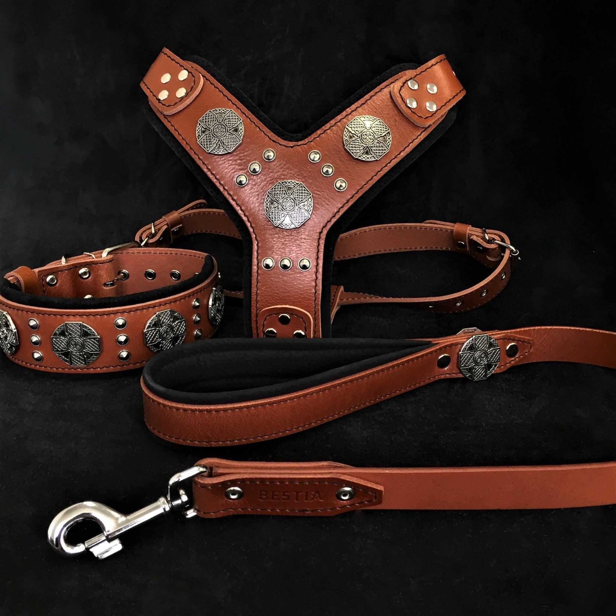 maximussilverbigdogsetharnesscollarleadbrown650666jpg Urban Pet Play Ltd | AwardWinning Pet Care Pet Shop